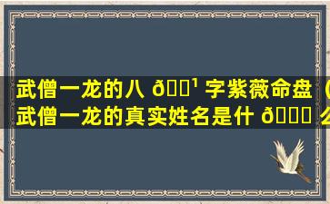 武僧一龙的八 🌹 字紫薇命盘（武僧一龙的真实姓名是什 🐕 么）